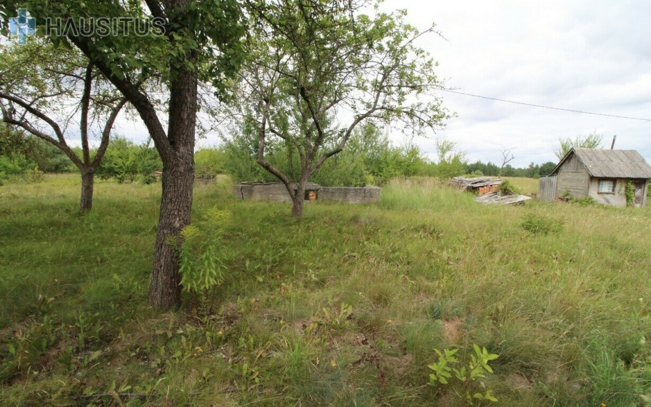 Parduodamas sodų paskirties sklypas Daukniškių k., Panevėžio r. sav., 12 a ploto 4
