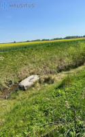 Parduodamas sklypas Lepšių k., 14.5 a ploto 4