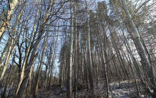 Parduodamas namas Kosmonautų g., Anykščiuose, 85.26 kv.m ploto 12