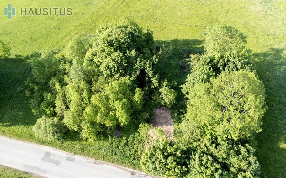 Parduodamas sklypas-sodybvcvietė Didžiakaimio k., 15 a ploto 13