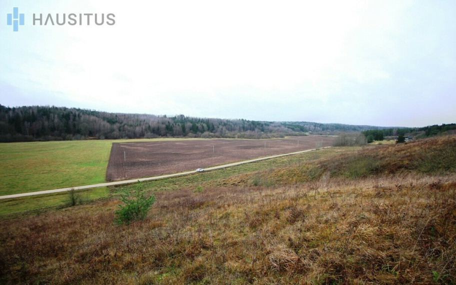 Parduodamas sklypas Kybartėlių k., 13.21 ha. ploto 3