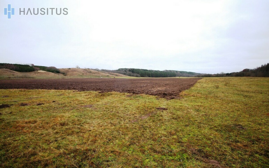 Parduodamas sklypas Kybartėlių k., 13.21 ha. ploto 6