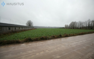 Parduodamas sklypas Kybartėlių k., 13.21 ha. ploto 9