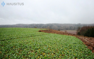 Parduodamas sklypas Kybartėlių k., 13.21 ha. ploto 10