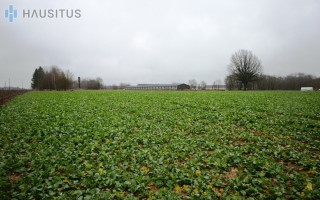 Parduodamas sklypas Kybartėlių k., 13.21 ha. ploto 11
