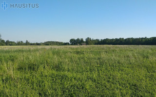 Parduodamas sklypas Antano Belazaro g., , Panevėžyje, 9 a ploto 7