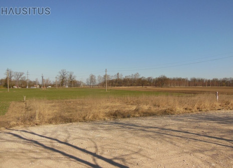 Parduodamas žemės ūkio paskirties sklypas Paviešečių k., Panevėžio r. sav., 10 a ploto