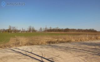 Parduodamas žemės ūkio paskirties sklypas Paviešečių k., Panevėžio r. sav., 10 a ploto 1