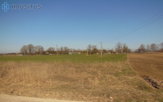 Parduodamas žemės ūkio paskirties sklypas Paviešečių k., Panevėžio r. sav., 10 a ploto 2