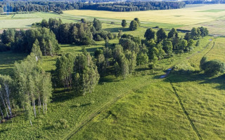 Parduodamas sklypas Ramonų k., 311 a ploto 9