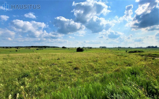 Parduodamas sklypas Molainių k., 32 a ploto 3
