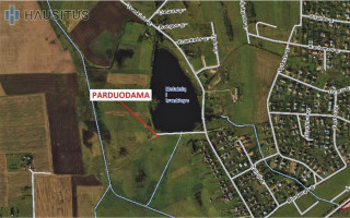 Parduodamas sklypas Molainių k., 32 a ploto 13