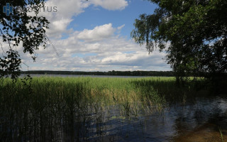 Parduodamas sklypas Terpežerių k., 50 a ploto 6