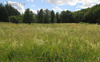 Parduodamas sklypas Terpežerių k., 50 a ploto 7