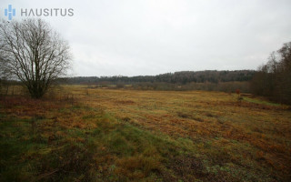 Parduodamas sklypas Dvarviečių vs., 3171 a ploto 10