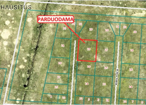 Parduodamas sklypas Klevų 3-oji g., , Palangoje, 19.68 a ploto