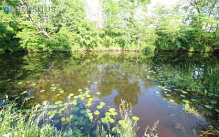 Parduodamas sklypas Pušų g., Vyčių k., 10.6 a ploto 7