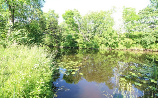 Parduodamas sklypas Pušų g., Vyčių k., 10.6 a ploto 8