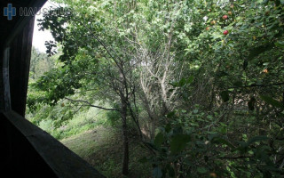 Parduodamas namas Baltalksnių al., Janališkių k., 43 kv.m ploto 17