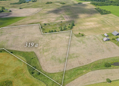 Parduodamas  sklypas Vazgūnų k., Širvintų r. sav., 319 a ploto