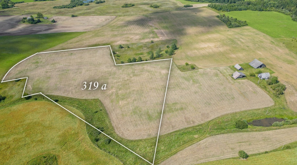Parduodamas sklypas Vazgūnų k., Širvintų r. sav., 319 a ploto 1