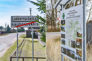 Parduodamas  sklypas Kmynų g., Jadvygiškių k., Vilniaus r. sav., 10.2 a ploto 13