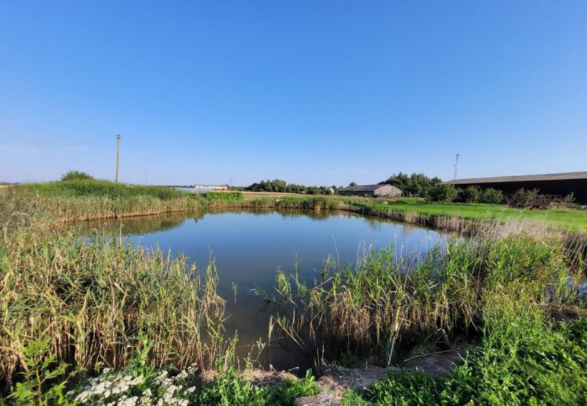 Parduodamos patalpos Babtų k., Kauno r. sav., 2941.34 m² ploto 8