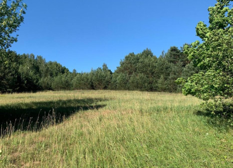 Parduodamas namas Verniejaus g., Tolkiškių k., Trakų r. sav., 98.7 m² ploto 3 kambariai