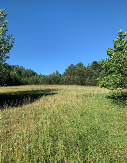Parduodamas namas Verniejaus g., Tolkiškių k., Trakų r. sav., 98.7 m² ploto 3 kambariai 1