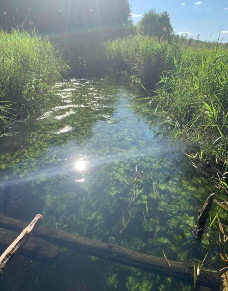 Parduodamas namas Verniejaus g., Tolkiškių k., Trakų r. sav., 98.7 m² ploto 3 kambariai 2