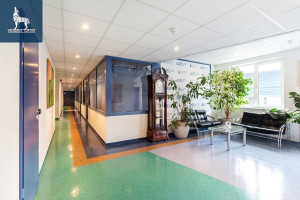 Nuomojamos administracinės patalpos Jankiškių g., Aukštieji Paneriai, Vilniaus m., Vilniaus m. sav., 381.44 m2 ploto 5
