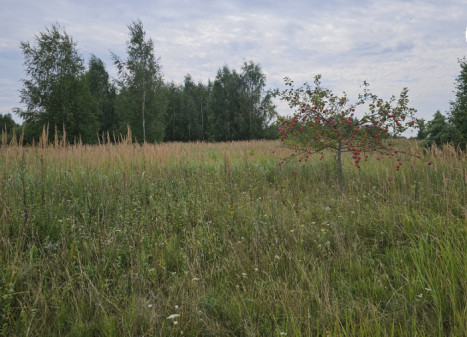 Parduodamas sklypas Linų g., , Panevėžyje, 12.45 a ploto