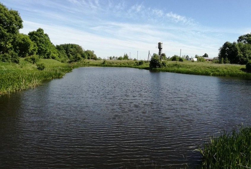 Parduodamas namas Žalesio g., Tiskūnų k., Kėdainių r. sav., 545.2 m² ploto 11 kambarių 1