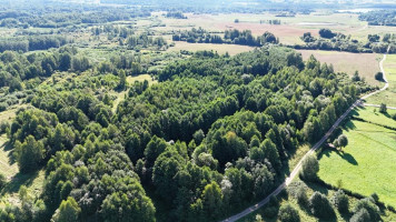 Parduodamas sklypas Bijūnų k., Molėtų r. sav., 608.00 a ploto 3