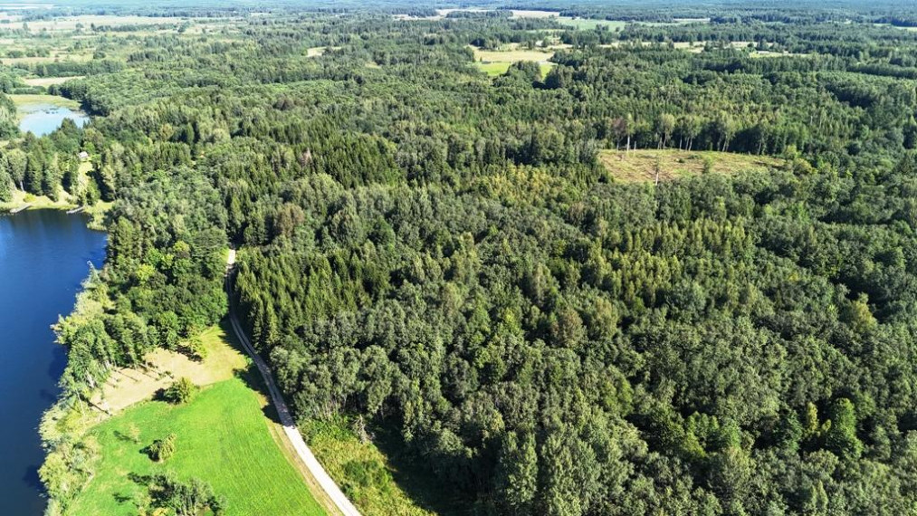 Parduodamas sklypas Bijūnų k., Molėtų r. sav., 608.00 a ploto 5