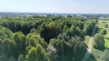 Parduodamas sklypas Bijūnų k., Molėtų r. sav., 608.00 a ploto 6
