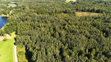 Parduodamas sklypas Bijūnų k., Molėtų r. sav., 608.00 a ploto 7
