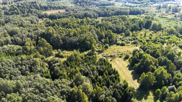 Parduodamas sklypas Bijūnų k., Molėtų r. sav., 608.00 a ploto 8