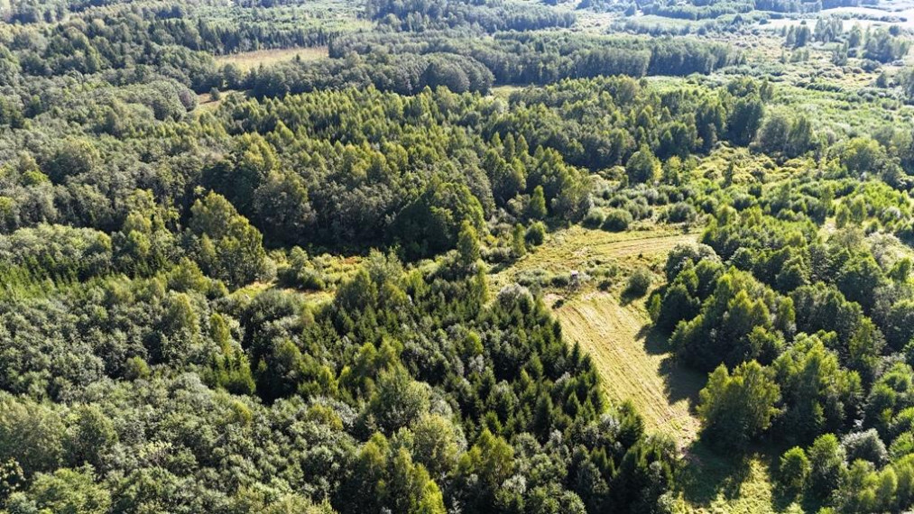 Parduodamas sklypas Bijūnų k., Molėtų r. sav., 608.00 a ploto 8