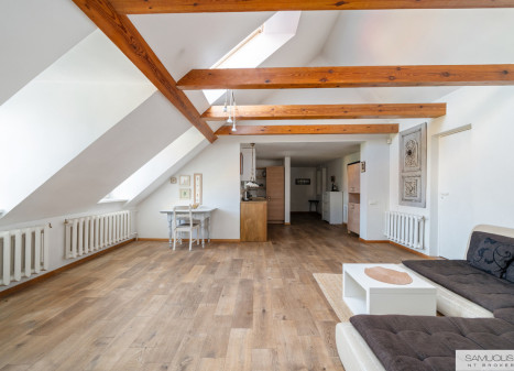 Parduodamas butas Išganytojo g., Senamiestis, Vilniaus m., Vilniaus m. sav., 61.47 m2 ploto, 2 kambariai Parduodamas butas Išganytojo g., Senamiestis, Vilniaus m., Vilniaus m. sav., 61.47 m2 ploto, 2 kambariai