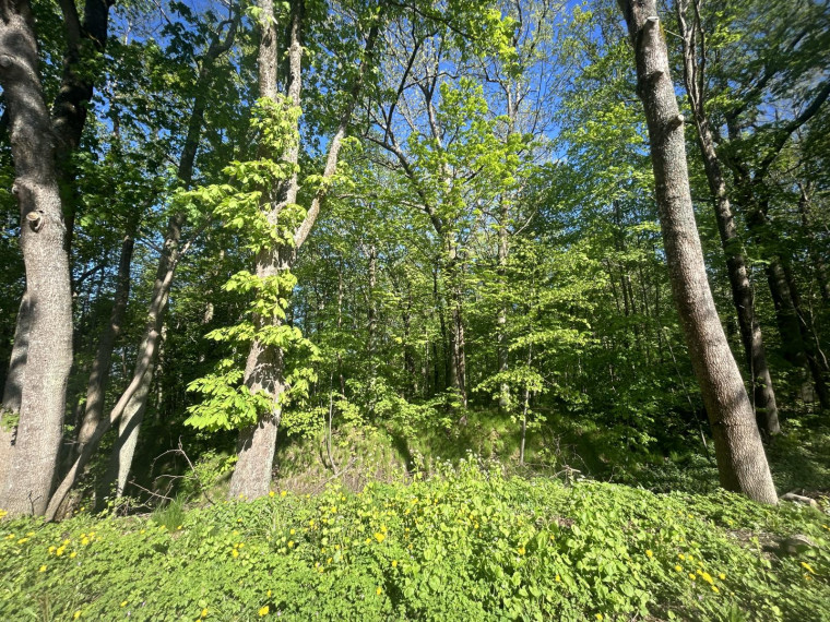 Parduodamas butas Turistų g., Ginduliai, Klaipėdos m., Klaipėdos m. sav., 42.55 m² ploto 2 kambariai 4