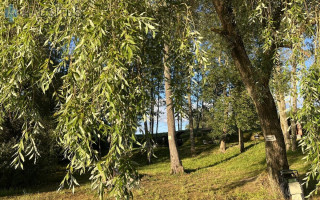 Parduodamas sklypas Ežero g., Mačionių k., 110.9 a ploto 19