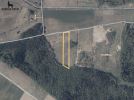 Parduodamas  sklypas Totoriškių k., Vilniaus r. sav., 100 a ploto 4
