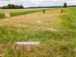 Parduodamas  sklypas Sauginių k., Šiaulių r. sav., 20.8 a ploto 1