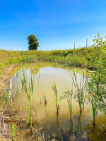 Parduodamas  sklypas Sauginių k., Šiaulių r. sav., 20.8 a ploto 5