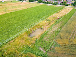 Parduodamas  sklypas Sauginių k., Šiaulių r. sav., 20.8 a ploto 6
