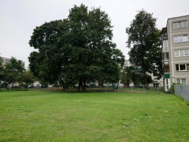 Parduodamas sklypas Vytauto g., Centras, Šiaulių m., Šiaulių m. sav., 10.15 a ploto 16