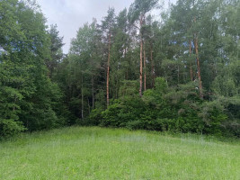 Parduodamas sklypas Šliaumiškių vs., 1145 a ploto 4