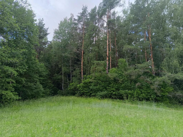 Parduodamas sklypas Šliaumiškių vs., 1145 a ploto 4