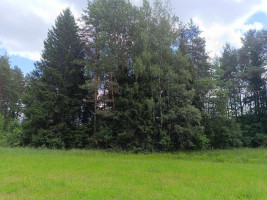 Parduodamas sklypas Šliaumiškių vs., 1145 a ploto 5